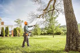 Best Organic Lawn Care Solutions  in Floris, VA