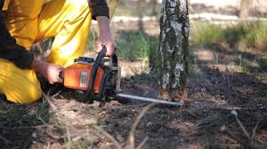 Best Lawn Grading and Leveling  in Floris, VA