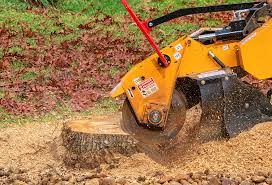 Professional Tree Services in Floris, VA