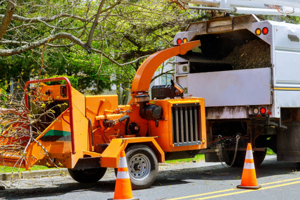  Floris, VA Tree Services Pros
