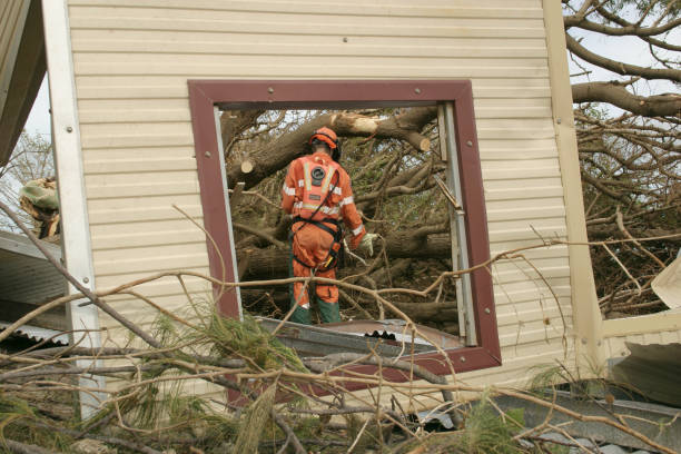 Best Utility Line Clearance  in Floris, VA