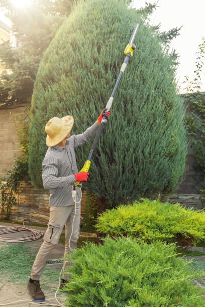Best Arborist Consultation Services  in Floris, VA