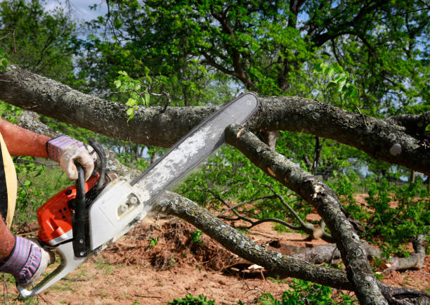 Mulching Services in Floris, VA